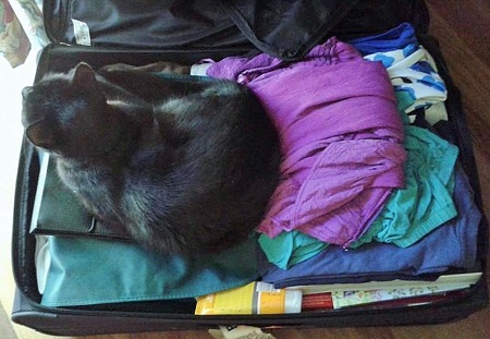 Checklist for packing a suitcase
